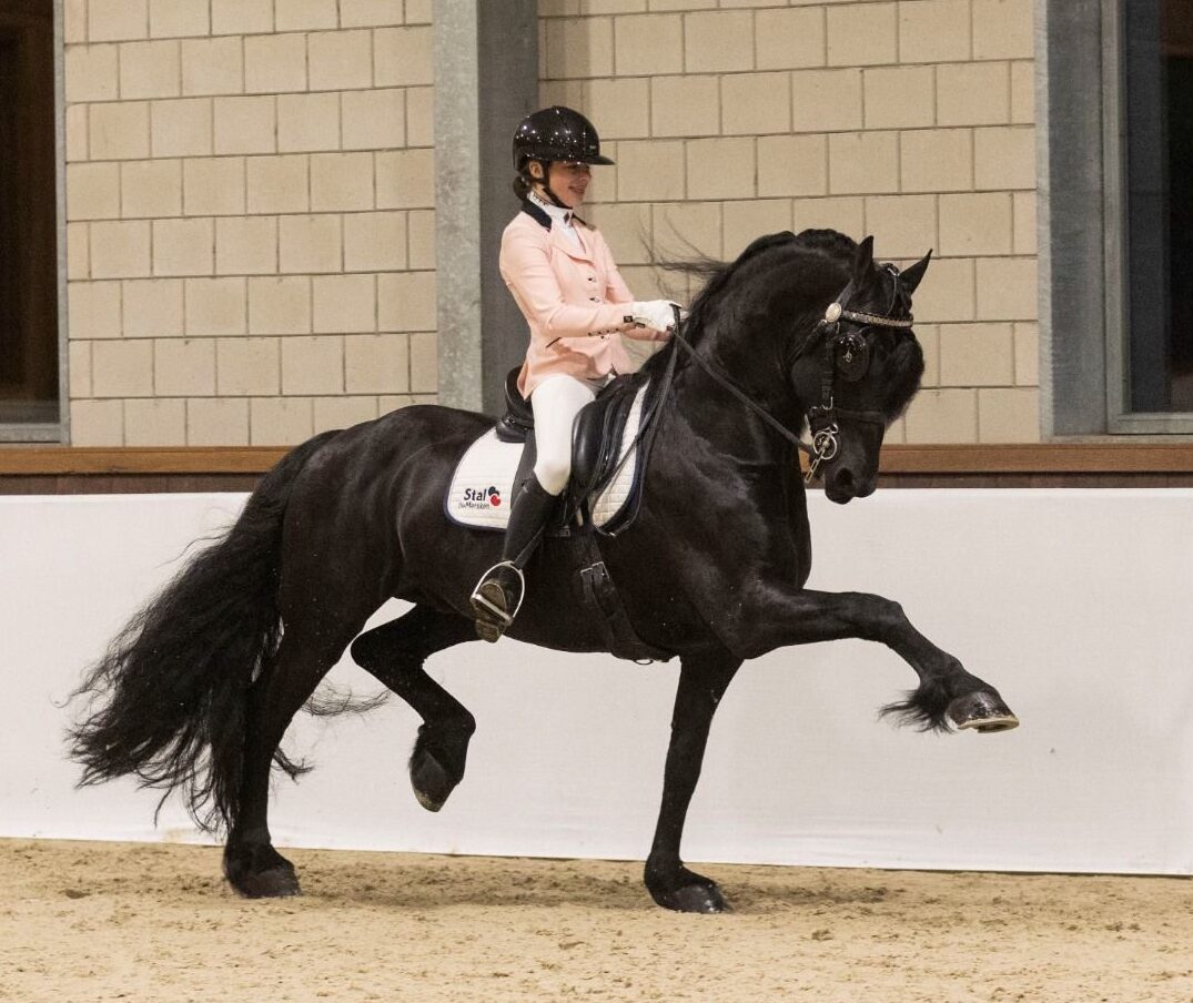 lichtroze wedstrijdjas Navy & Tan