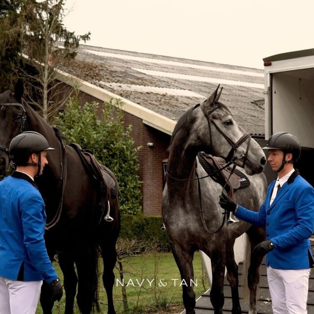 Paardensporen