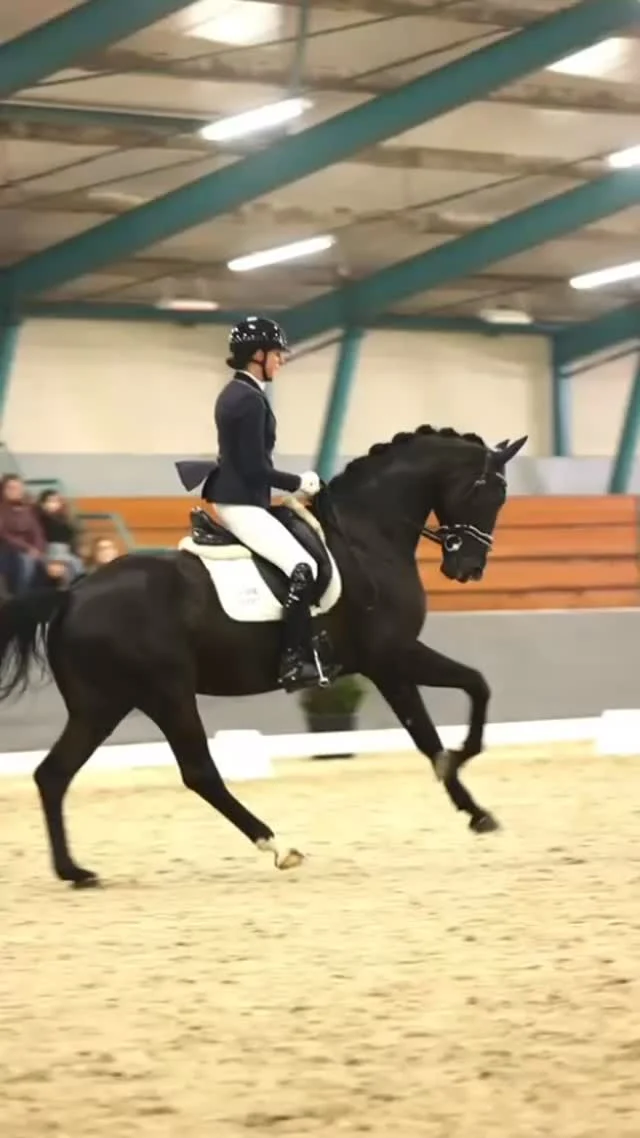 @laura.zwart in Navy & Tan 🖤

“Ik ben erg tevreden met mijn jasje van Navy & Tan. De kwaliteit is uitstekend en de pasvorm is precies zoals ik had gehoopt. Het zit comfortabel, geeft een mooie uitstraling én wat voor mij als iemand die veel paarden rijdt heel fijn is: het jasje is makkelijk schoon te maken. Dat maakt het ook nog eens praktisch in gebruik”. 

Ook een rijjasje op maat laten maken én ontwerpen, precies zoals jij in de ring wilt verschijnen? Maak eenvoudig een afspraak via de link in bio! 📅
.
.
.
#rijjasjes #maatwerk #rijjasjesopmaat #wedstrijdjasopmaat #wedstrijdjas #wedstrijdjasje #paardrijden #paardensport #showjacket #horsecompeition #competitionjacket #competitionwear #equestrian #equestrianstyle #equestrianlifestyle #equestrianfashion #equestrianlife  #equestriansofinstagram #horse #horsewear #horsefashion #horseriding #dressage #showjumping #equinefashion #equine #navyandtan